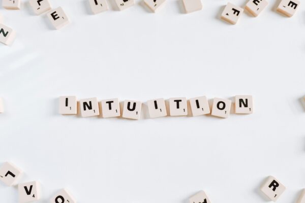Intuitie